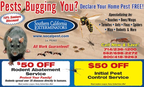 pests bugging